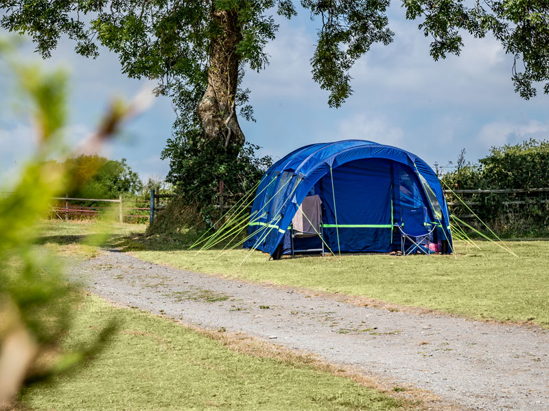 Meadow Farm Tenby Campsite Stunning Clifftop Camping meadow-farm-tenby-campsite-stunning-clifftop-camping